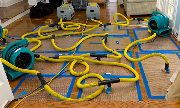 Professional Water Extraction technician working in Parachute, CO